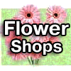 Flower Shops