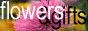 Gifts and flowers delivery to Russia, Ukraine, Belarus etc.